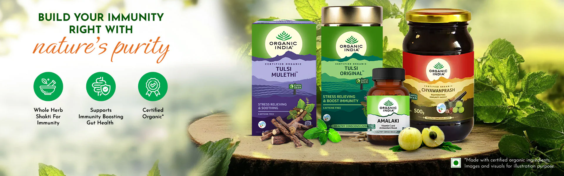 immunity-web-banner-1920x600_1_1